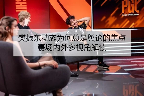 樊振东动态为何总是舆论的焦点 赛场内外多视角解读